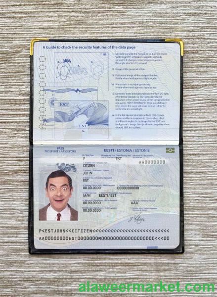 Estonia passport photo look